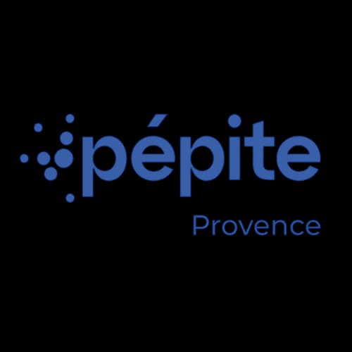 Pépite PACA Est logo